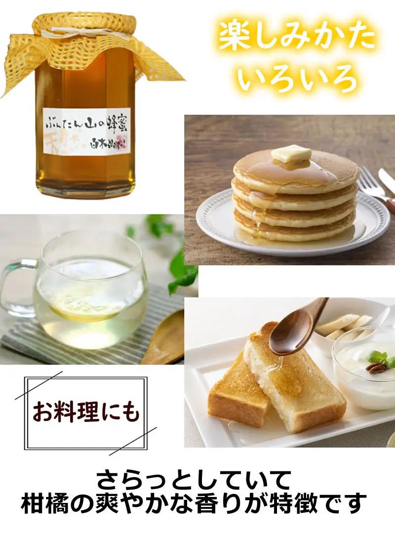 爽やかな香り広がる ぶんたん山の蜂蜜 360g×1本 高知県土佐市 【株式会社SHIRAKI】 [BQAI057]