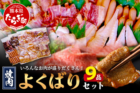 【数量限定】 村上精肉店の 焼肉 よくばりセット 【 9品 味付き 焼くだけ 】 牛カルビ ハラミ 豚バラ タン トントロ 鶏せせり 鶏もも 手羽先 ウインナー 焼き肉 BBQ アウトドア キャンプ 