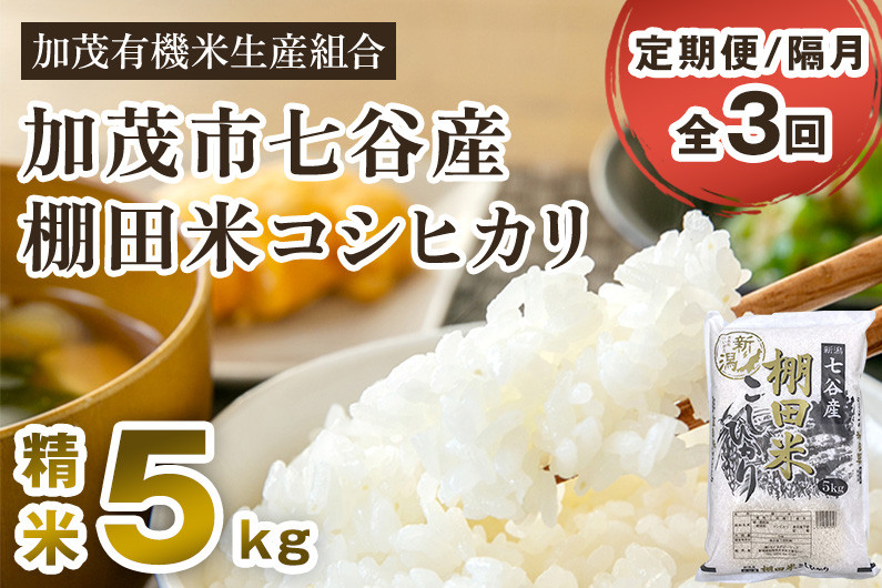 
            【令和7年産新米】【定期便3回隔月お届け】七谷産 棚田米コシヒカリ 精米 5kg《順次出荷》 白米 加茂有機米生産組合 新潟県 加茂市産 白米 米 お米 定期便
          