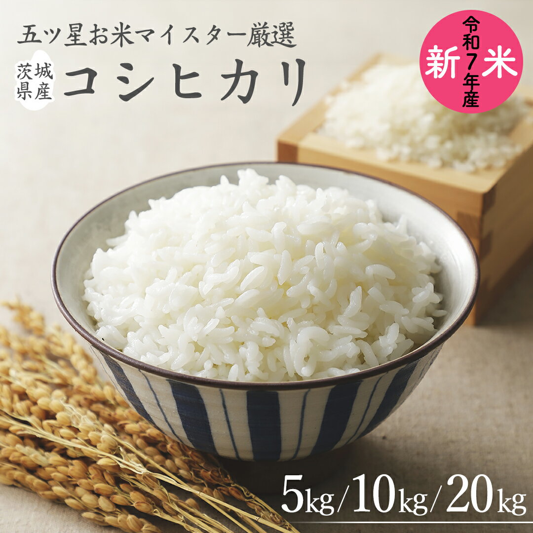【ふるさと納税】《 令和7年産 》 茨城県産 コシヒカリ ＼選べる内容量／ 5kg 10kg 20kg 期間限定 こしひかり 米 コメ こめ 五ツ星 高品質 白米 精米 時短 単一米 新米