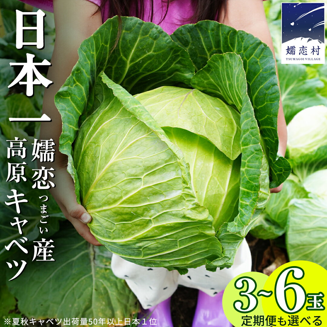 【ふるさと納税】 【7月中旬発送開始】 嬬恋キャベツ ＜選べる数量&お届け回数＞ 定期便 きゃべつ 嬬恋キャベツ 産地直送 群馬 お取り寄せ 野菜 セット Lサイズ ZIP! 新鮮 季節の野菜 旬の野菜 先行予約 2026年発送
