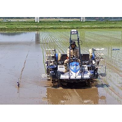 ふるさと納税 一関市 低農薬栽培ひとめぼれ玄米10kg |  | 03
