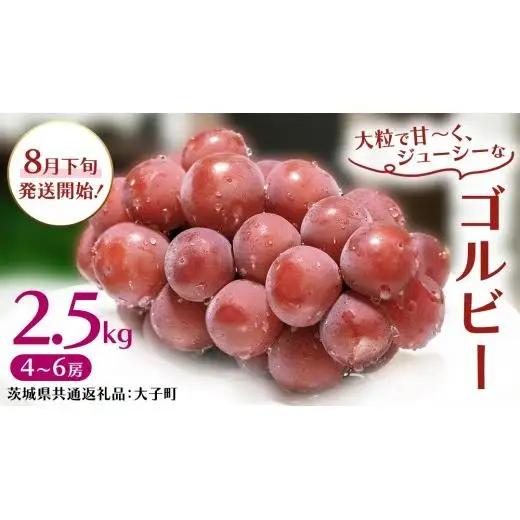 ゴルビー 2.5kg (4～6房)【2026年8月下旬発送開始】(茨城県共通返礼品：大子町)