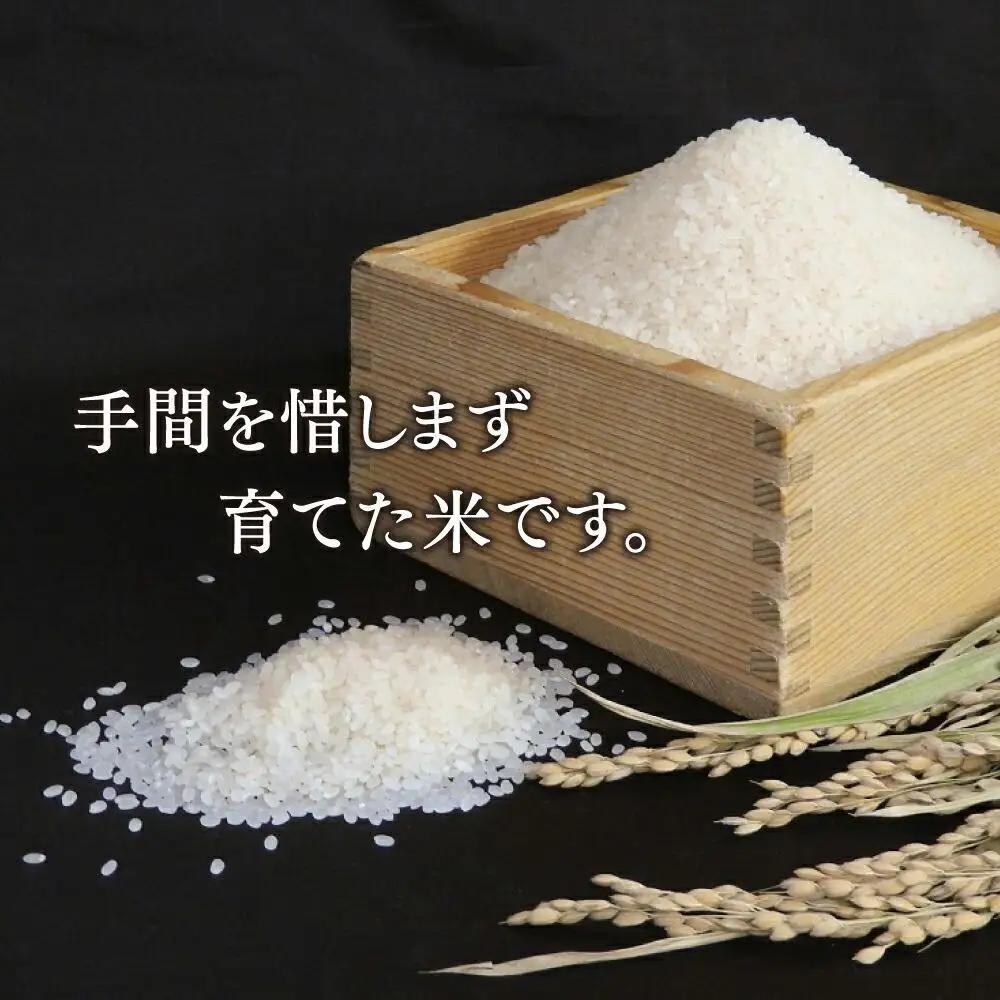 【2024年10月下旬より順次発送】特別栽培米　ゆめぴりか　白米10kg  ｜ ゆめぴりか ゆめぴりか ゆめぴりか ゆめぴりか ゆめぴりか _00438