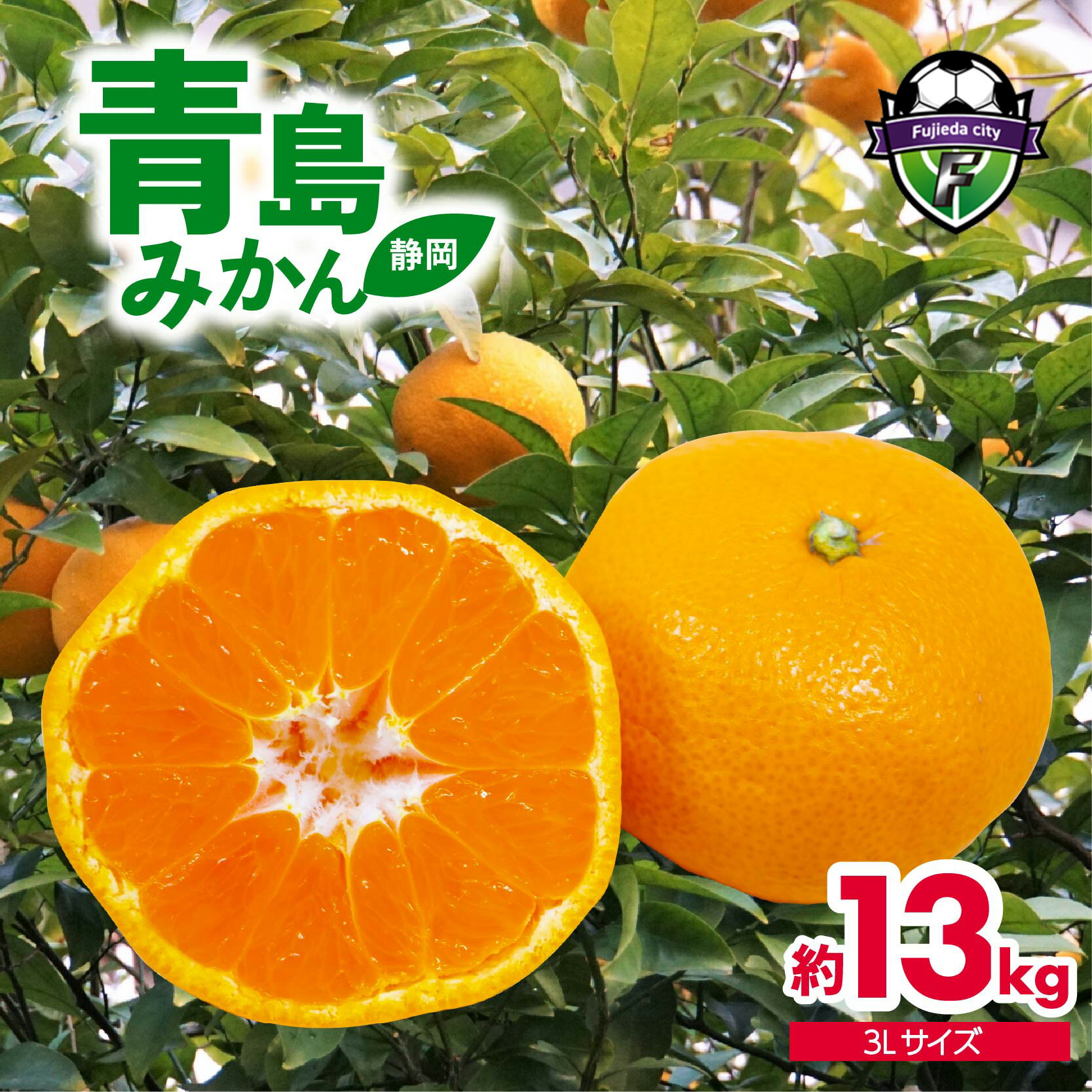 【ふるさと納税】 みかん 約13kg 青島 ミカン 果物 国産 フルーツ 柑橘 静岡県産 先行予約 2026年12月下旬より順次出荷 蜜柑 ビタミン 美味しい 旬 冬の味覚 甘い 新鮮 産地直送 家族向け おやつ デザート 正月 果汁たっぷり 藤枝市 静岡県