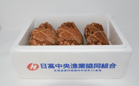 【先行受付開始！】漁協の浜ゆで毛がに 小サイズ３尾セット※日付指定対応不可※[02-1201]
