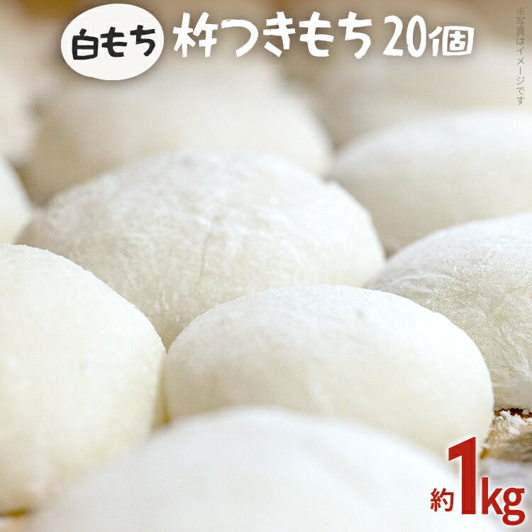 【ふるさと納税】餅 白もち 杵つきもち 20個 約1kg 予約受付 自家製米 ひよくもち米 杵つき 丸餅 お雑煮 おしるこ 焼き餅 焼きもち ぜんざい 福岡県 福岡 九州 グルメ お取り寄せ 【11月上旬より順次出荷予定】
