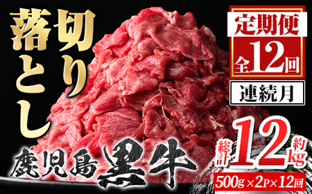 【F01001】＜定期便・全12回・連続月＞鹿児島黒牛 切り落とし(計約12kg・約500g×2P×12回) 鹿児島 国産 九州産 鹿児島県産 黒毛和牛 国産牛 牛肉 切り落し 切落とし 切落し お肉 冷凍 小分け すきやき すき焼き 牛すき 牛丼 カレー 肉じゃが 炒め物 【新村畜産】