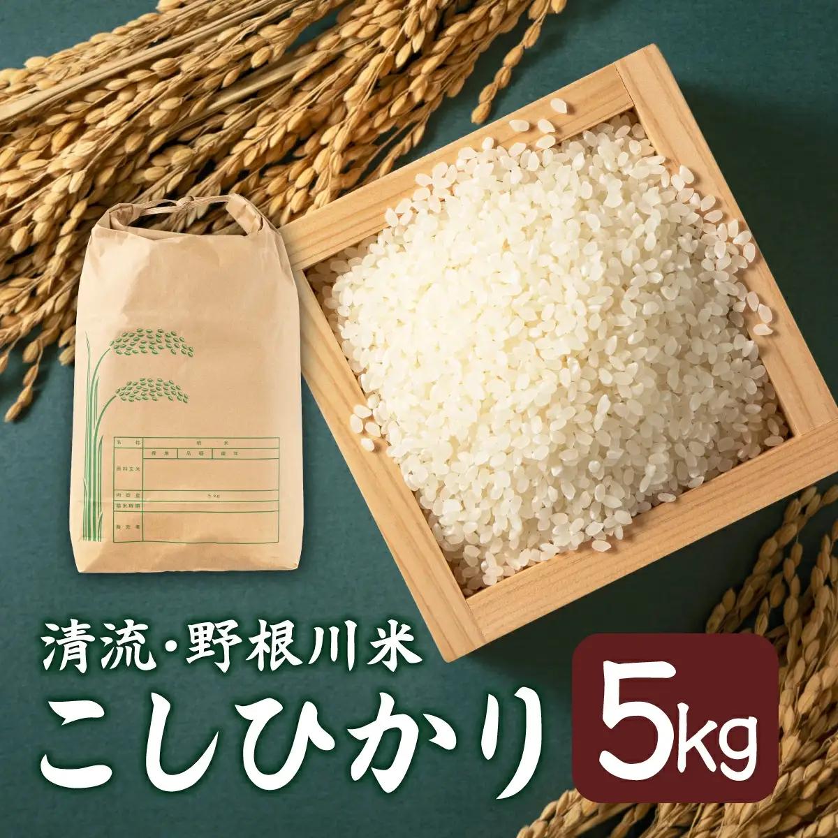  令和8年産 野根川米5kg こしひかり 米 国産 コメ