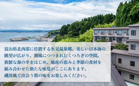 氷見温泉郷 なだうら温泉 元湯 磯波風 宿泊補助券 2万円分 富山県 氷見市 旅行 観光 宿泊 温泉