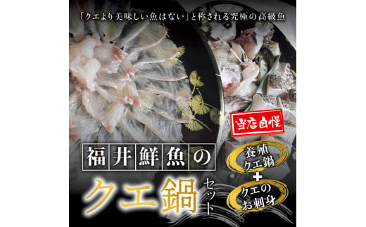 
【先行予約】【お正月予約受付中】幻のクエ！国産 養殖クエ鍋500g 刺身150g くえ 鍋 セット 【fki101-cho】
