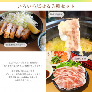 【ブランド豚】柔らかジューシーな肉質!「和豚もちぶた」贅沢3種セット【配送不可地域：離島】【1476933】
