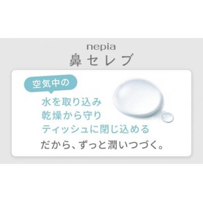 ふるさと納税 春日井市 【定期便】2回発送(6か月おきに発送) ネピア鼻セレブティシュ3箱×10パック |  | 01