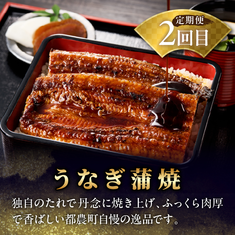 ≪定期便≫＼1か月に2回お届け!!／都農ワイン×うなぎ蒲焼★最強コンビ_T999-003【酒 飲料 鰻 魚介 国産 人気 ギフト 食品 お酒 飲み比べ 惣菜 高級 お土産 贈り物 送料無料】