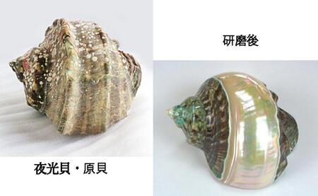 夜光貝とアヴェンチュリンを素材にした「ネックレス」貝工房かざはな【NＮ-13】