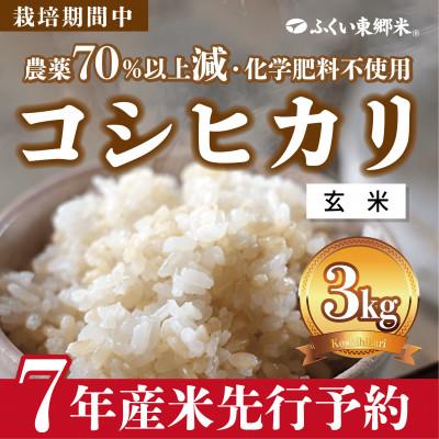 ふるさと納税 福井市 令和7年産 ふくい東郷米 特別栽培米 栽培期間中農薬70%減コシヒカリ 玄米3kg×1袋【真空袋】