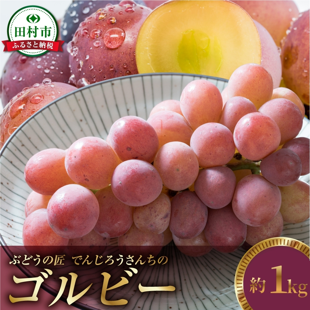 【先行予約2026年発送】ゴルビー  約1kg 冷蔵 種無し 種なし シャインマスカット ブドウ ぶどう 品種 果物 甘い 巨峰 美味しい 希少 人気 福島県 田村市  鈴木農園 でんじろうさん N046-009-R8
