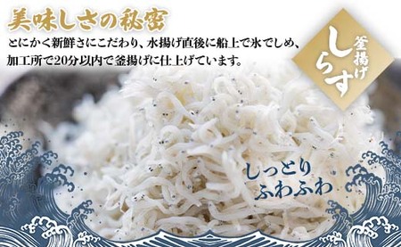 【令和6年2月下旬以降発送】極上釜揚げしらす「銀凪」 350ｇ×3袋(合計1kg以上)  - しらす丼 魚介 シーフード 特産品 海産物 新鮮 おつまみ ギフト 贈答 国産 海の幸 冷凍 ym-000