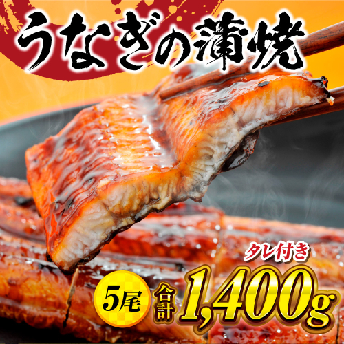 うなぎの蒲焼５尾 タレ付き（4本）　YZ004