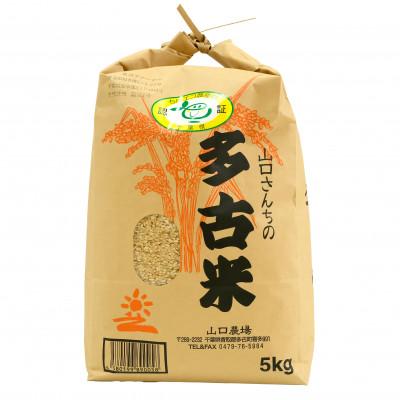 ふるさと納税 多古町 山口さんちの【令和8年産】多古米コシヒカリ(玄米)5kg |  | 01