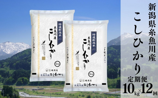 令和6年産新米予約【定期便】新潟県糸魚川産コシヒカリ 10kg×12ヶ月 計120kg 名水と翡翠の郷 2024年産 堀敬商事【米 お米 白米 こめ コメ ご飯 精米 ライス ブランド米 こしひかり 新潟県 糸魚川 2024 米どころ新潟 食品 人気 おすすめ 10キロ 12回 12か月 毎月お届け 先行予約】