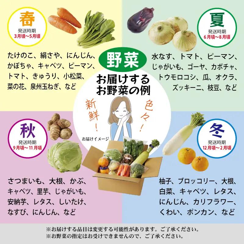 099S017 主婦が選んだ 日常使い セット（銀鮭 切り身 たまご 野菜 泉州タオル）