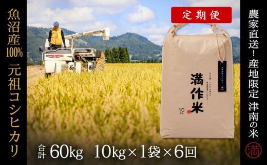 
            【2025年産新米】【6ヶ月定期便】合計60kg 10kg×6回 元祖魚沼産コシヒカリ
          
