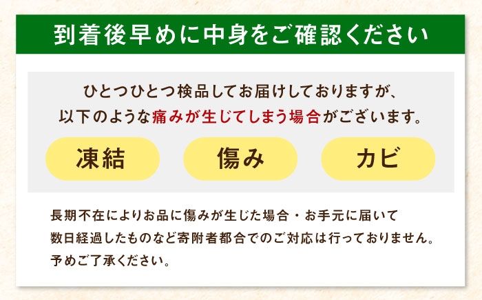  いちご あまおう 福岡県産苺 いちご あまおう イチゴ 苺 ichigo 築上産 ジャム フルーツ 果物 スイーツ