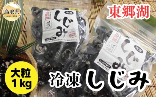 A24-044 東郷湖冷凍しじみ（大粒） 1kg 鳥取県 おすすめ 湯梨浜町 黒いダイヤ
