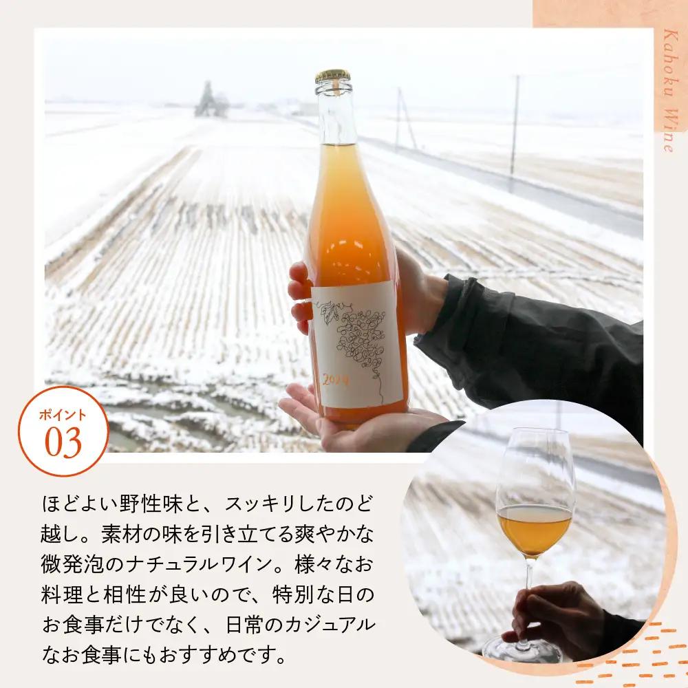 ワイン 泡 デラウェア ワイン 2025 750ml 河北町産 ぶどう ワイン
