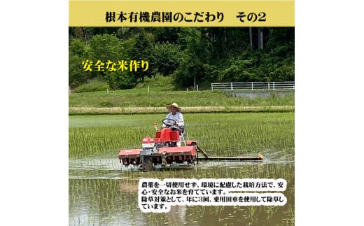 【令和6年産】南相馬・根本有機農園のJAS有機米コシヒカリ5kg（玄米）