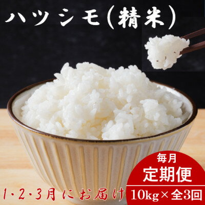 【ふるさと納税】【発送月固定定期便】生産者応援!岐阜県産ハツシモ(精米)10kg【1・2・3月発送】全3回【配送不可地域：離島】【4073157】