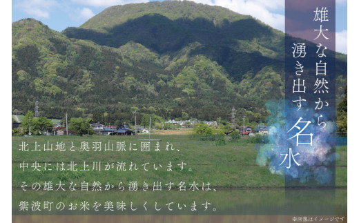 ★令和7年産★【2回定期便】特別栽培米 ひとめぼれ 10kg（5kg×2袋）岩手県紫波町産 (AD052)