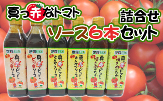 No.290 真っ赤なトマトソース6本詰合せセット ／ 調味料 ピリ辛 たれ とまと 酸味 世羅菜園 広島県