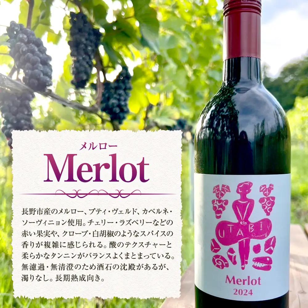 Merlot　メルロー （ワイン） |赤ワイン ぶどう