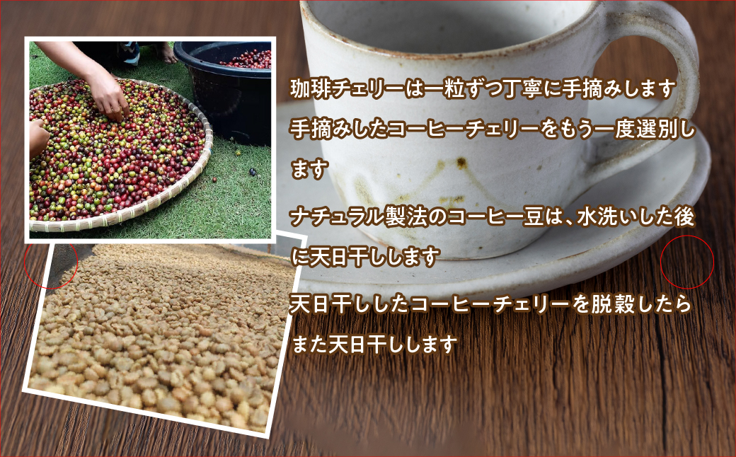 ドリップバックセット(10g×3種類×5パック） FDQ002
