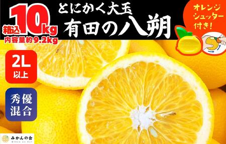 八朔 (はっさく) とにかく 大玉 どっこいしょ 箱込 10kg (内容量約 9.2kg) 秀品 優品 混合 2Lサイズ以上 和歌山県産  産地直送【おまけ付き】【みかんの会】