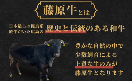 藤原牛 ロース 焼肉用 500g 和牛 広島牛【牛肉 お肉 やきにく 竹原産和牛 BBQ 霜降り 最高品質 肉質 脂質】