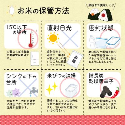 ふるさと納税 寒河江市 令和7年産 玄米10kg(5kg×2袋)「山形県産はえぬき」 2025年産 |  | 03