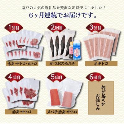 ふるさと納税 室戸市 【贅沢定期便「力」/全6回】タカシン水産厳選 高知の海鮮セット |  | 01
