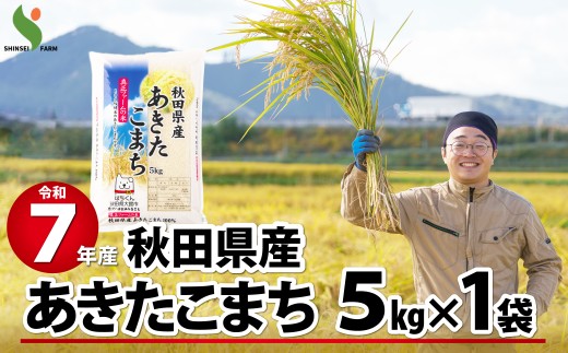 【訳あり】令和7年産秋田県産あきたこまち(普通米)5kg 60P9017　/ 米 普通米 5kg 白米 令和7年産 秋田県産 あきたこまち 5kg×1袋 おにぎり 大館 東北 秋田 小分け こわけ 大館市 5キロ 5ｷﾛ 5きろ