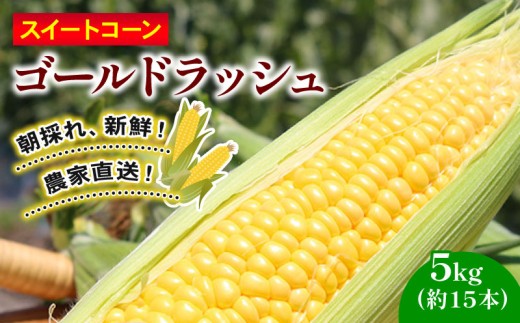 訳あり スイートコーン (ゴールドラッシュ) 5kg（約15本） | 2026年発送 6月 早期予約 贈答用 ギフト用にも スイート コーン 野菜 トウモロコシ とうもろこし 厳選 人気 夏 やさい 旬 甘い 先行予約 産地直送 数量限定 冷蔵 期間限定 季節限定 おすすめ 高知県 南国市