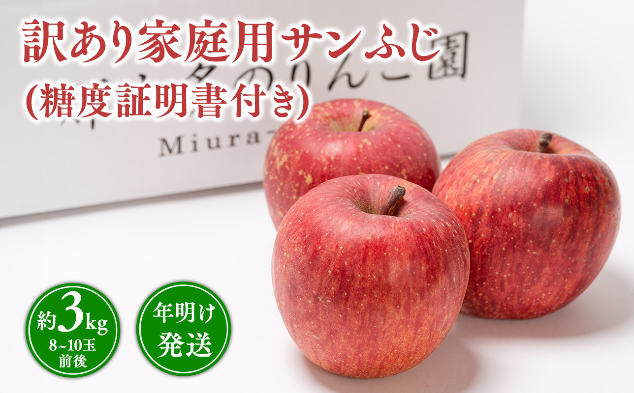 
            年明け発送 【訳あり】家庭用サンふじ約3kg（糖度証明書付き） 【青森県 平川市 那由多のりんご園】家庭用 青森 青森県産 平川 りんご リンゴ 林檎 くだもの 果物 フルーツ ふじ 
          