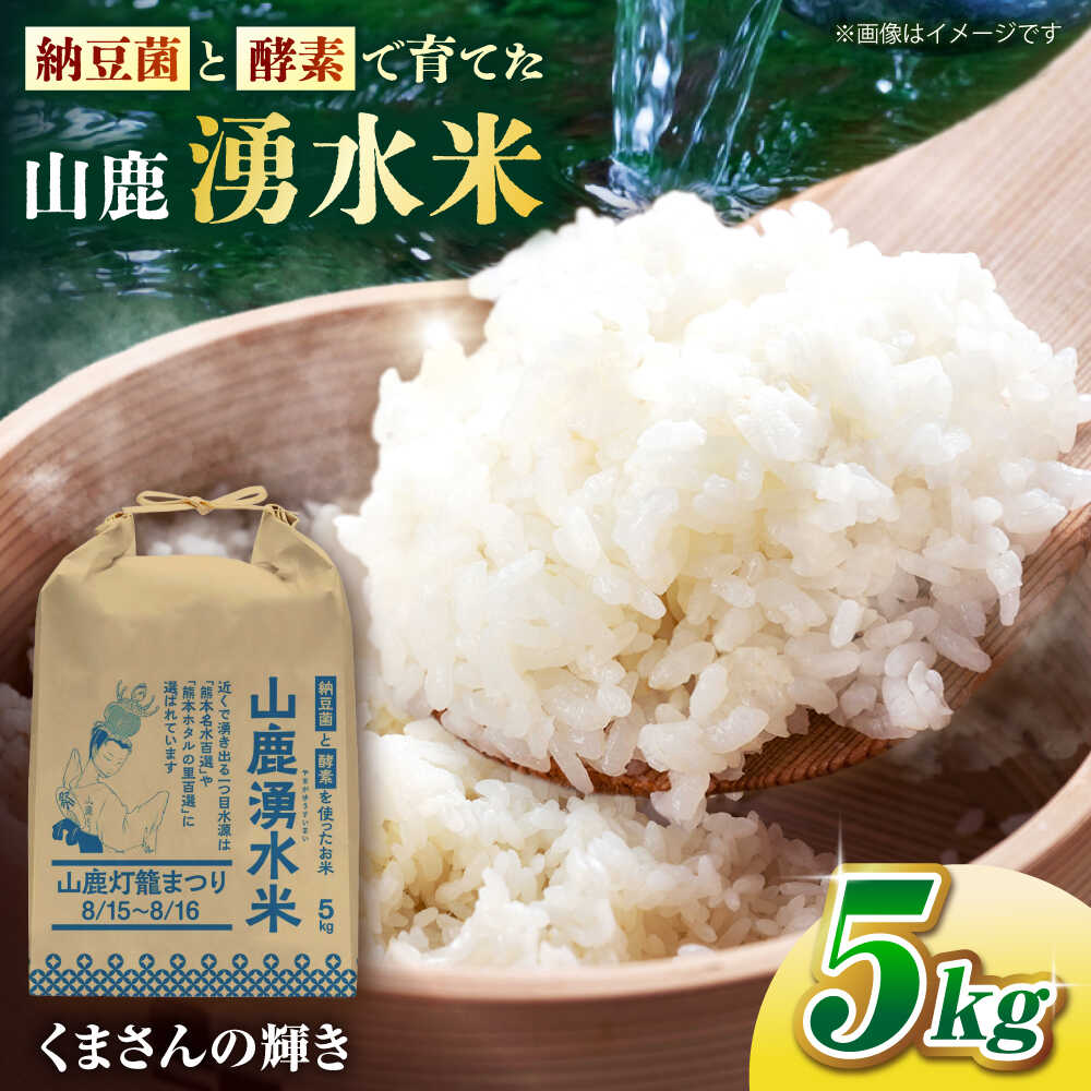 【ふるさと納税】【先行予約】《2025年10月より順次発送》 こば農園のお米 くまさんの輝き 『山鹿湧水米』 白米 5kg 送料無料 ギフト 精米 国産 熊本県産 味わい 栄養 ライス ご飯 ごはん 山鹿市 特産品 ブランド米 5キロ 白米 米 こめ コメ【合同会社 こば農園】[ZFO002]