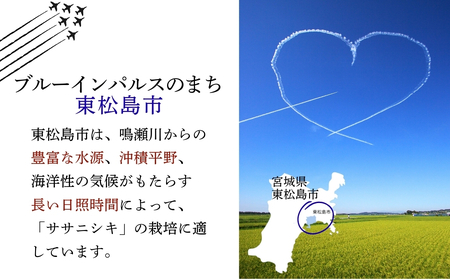 【令和7年産米受付開始！】 【新米】 宮城県産 ササニシキ（精米）5kg 米 ささにしき 東松島市 米 精米 白米 お米 こめ JAいしのまき