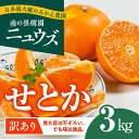 【ふるさと納税】【先行予約受付中】産地直送！愛媛県産せとか（訳あり） 3kg　※2025年2月下旬～3月下旬頃に順次発送予定　≪柑橘 みかん ギフト≫