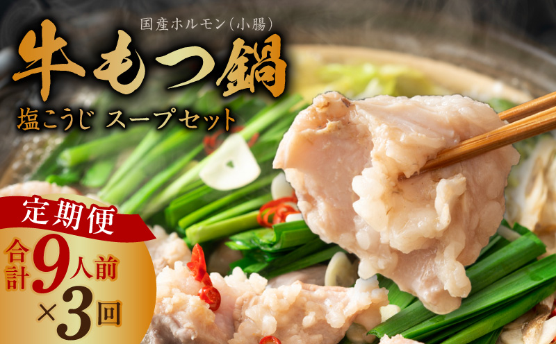 【定期便】牛もつ鍋セット 9人前 全3回【毎月配送コース 国産 牛肉 ホルモン 塩こうじ スープ付き モツ 鍋 高評価 冷凍 鍋セット 簡単調理 大阪 泉佐野 大阪府 泉佐野市】