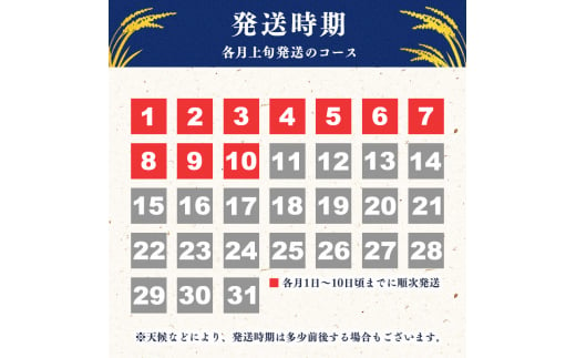 ＜ 2025年4月上旬＞ 令和6年産 はえぬき 5kg (5kg×1袋)  山形県産 010-C-JA007-2025-04J 2025年4月上旬　発送コース