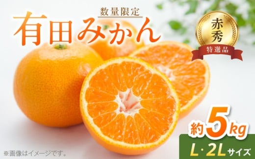 BF6006n_【2025年先行予約】【数量限定】【赤秀特選品】有田みかん L, 2Lサイズ 約5kg