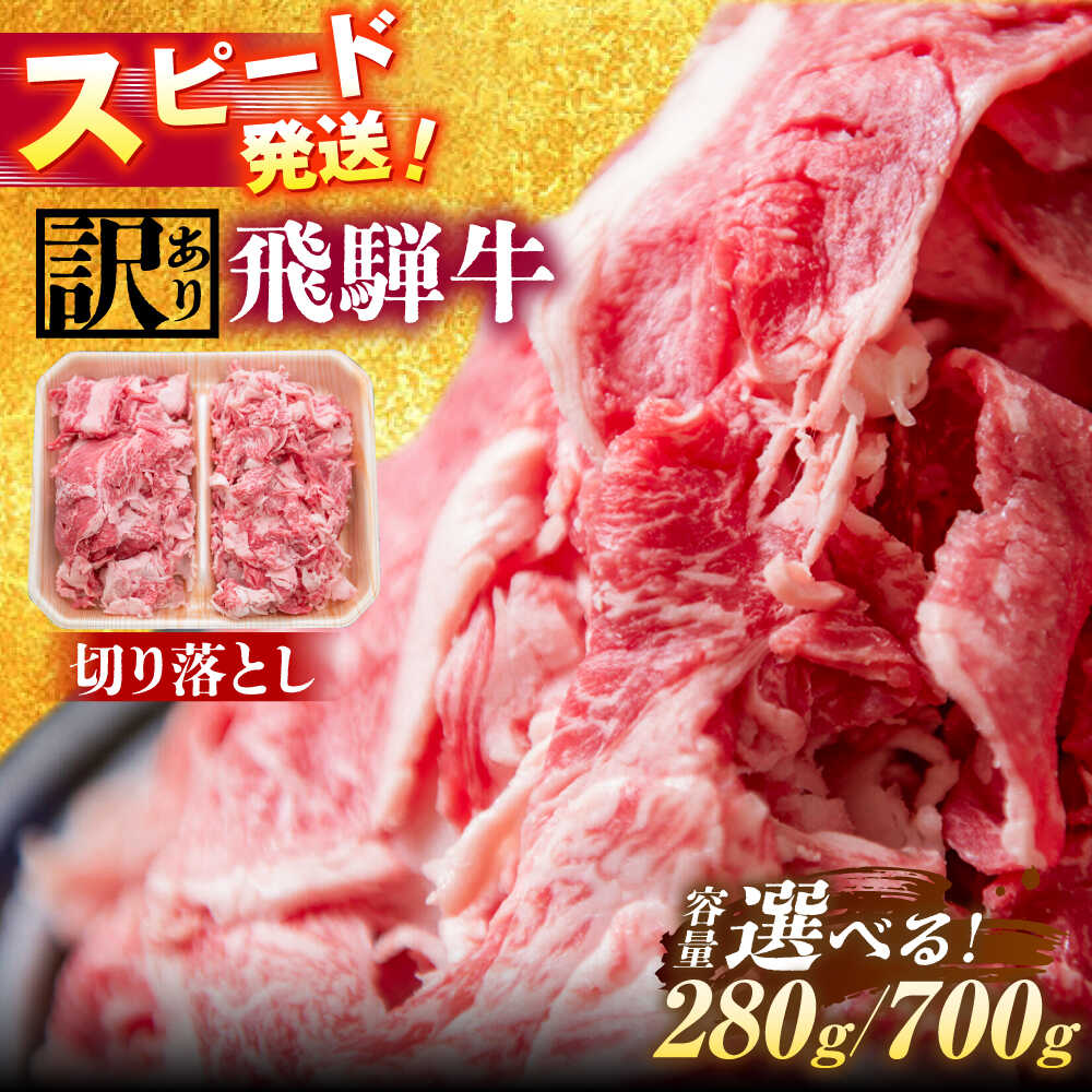 【ふるさと納税】【選べる容量】 飛騨牛 切り落とし 瑞浪市 / 冷凍 赤身 和牛 訳あり ギフト[AZDB001]